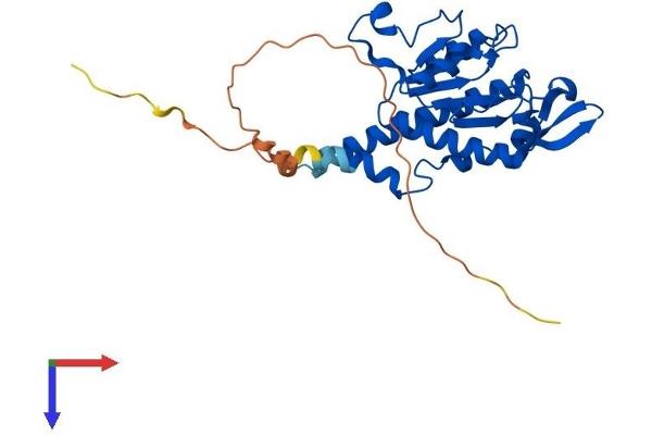 MRPS2 Protein (AA 1-291) (His tag)