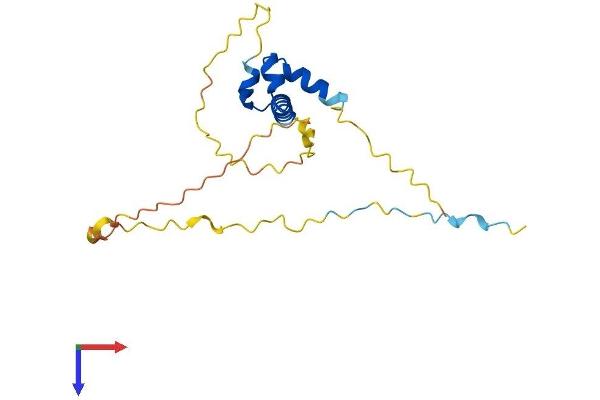 SSX3 Protein (AA 1-188) (His tag)