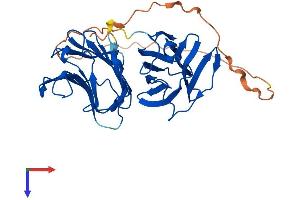 LGALS9C Protein (AA 1-356) (His tag)