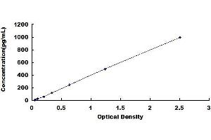 Typical standard curve (CCL19 ELISA Kit)