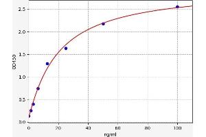 Clusterin (CLU) ELISA Kit