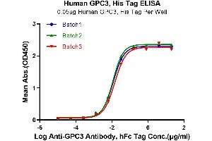 ELISA image for Glypican 3 (GPC3) (AA 25-559) protein (His tag) (ABIN7274774)