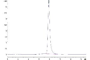 Size-exclusion chromatography-High Pressure Liquid Chromatography (SEC-HPLC) image for Leukemia Inhibitory Factor (LIF) (AA 25-203) protein (Fc Tag) (ABIN7275154)