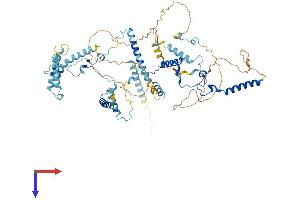 MPHOSPH10 Protein (AA 1-681) (His tag)