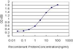 Detection limit for recombinant GST tagged ULK2 is approximately 0. (ULK2 Antikörper  (AA 743-843))