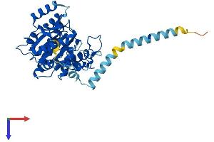 B3GNT5 Protein (AA 1-378) (His tag)
