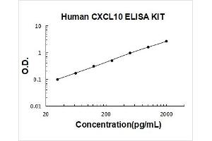 Human CXCL10/IP-10 PicoKine ELISA Kit standard curve
