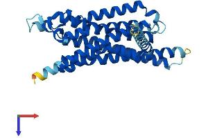 Adenosine A3 Receptor Protein (ADORA3) (AA 1-319) (His tag)
