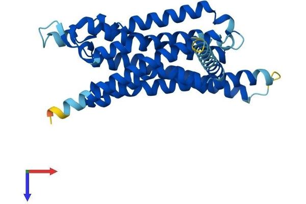Adenosine A3 Receptor Protein (ADORA3) (AA 1-319) (His tag)
