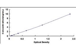 SLC27A5 ELISA Kit