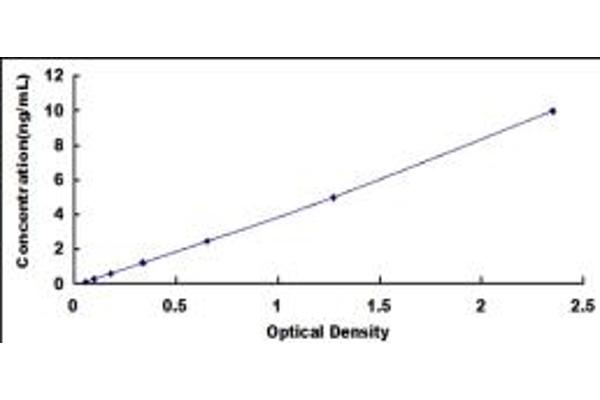 SLC27A5 ELISA Kit