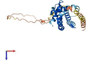 BCL2L1 Protein (AA 1-233) (His tag)