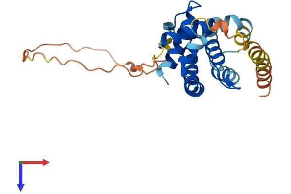 BCL2L1 Protein (AA 1-233) (His tag)