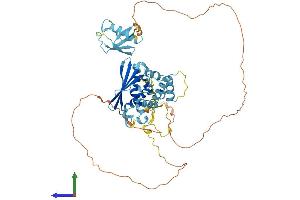 Protein Structure (PS) image for F-Box Protein 7 (FBXO7) (AA 1-522) protein (His tag) (ABIN7553936)