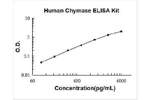 Chymase 1, Mast Cell (CMA1) ELISA Kit