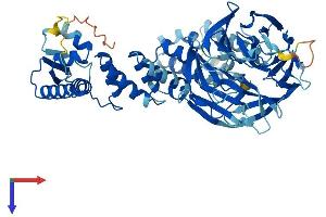 AlphaFold protein structure predicition of Human Recombinant KLHL25 Protein, UniprotID Q9H0H3 (KLHL25 Protein (AA 1-589) (His tag))
