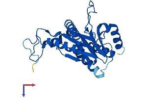 PSMA6 Protein (AA 1-246) (His tag)