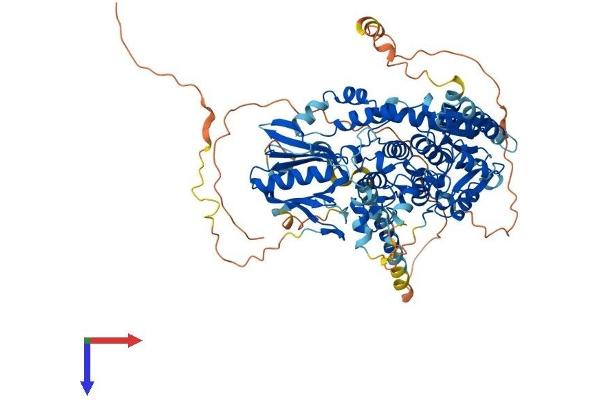 MTMR12 Protein (AA 1-747) (His tag)
