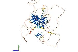 Protein Structure (PS) image for Amyloid beta (A4) Precursor Protein-Binding, Family B, Member 2 (APBB2) (AA 1-760) protein (His tag) (ABIN7561296)