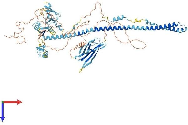 TRIM42 Protein (AA 1-723) (His tag)