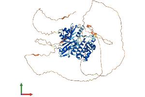 Protein Structure (PS) image for MAP/microtubule Affinity-Regulating Kinase 3 (MARK3) (AA 1-753) protein (His tag) (ABIN7563585)