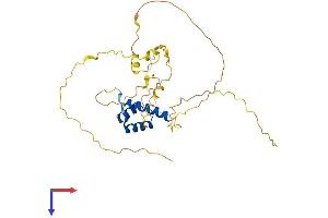 GSX2 Protein (AA 1-305) (His tag)