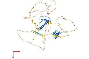 DMRT3 Protein (AA 1-472) (His tag)