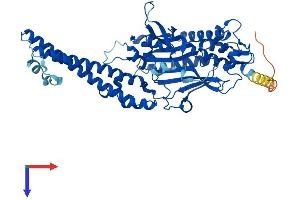 Seryl-tRNA Synthetase (SARS) (AA 1-512) protein (His tag)
