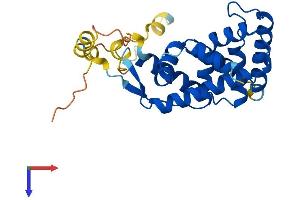 NR0B2 Protein (AA 1-260) (His tag)