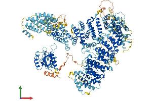 AlphaFold protein structure predicition of Human Recombinant TARBP1 Protein, UniprotID Q13395