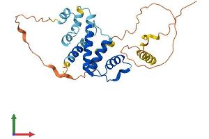 Protein Structure (PS) image for Acyl-CoA Binding Domain Containing 4 (ACBD4) (AA 1-268) protein (His tag) (ABIN7551849)