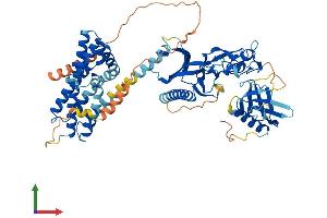 Protein Structure (PS) image for FYVE, RhoGEF and PH Domain Containing 2 (FGD2) (AA 1-655) protein (His tag) (ABIN7559012)