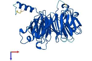 THOC6 Protein (AA 1-341) (His tag)