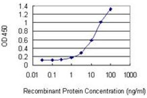 Detection limit for recombinant GST tagged GFAP is 0. (GFAP Antikörper  (AA 131-230))