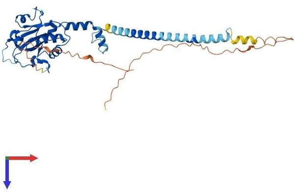 PCYT1A Protein (AA 1-367) (His tag)