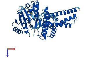 UGCG Protein (AA 1-394) (His tag)