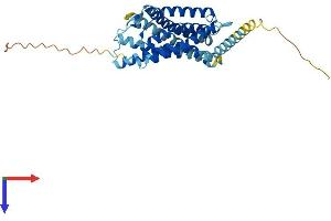 G Protein-Coupled Receptor 25 (GPR25) (AA 1-358) protein (His tag)