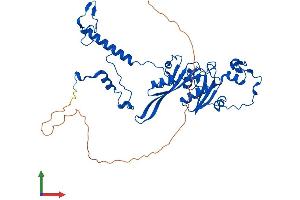 AlphaFold protein structure predicition of Mouse Recombinant Mrps5 Protein, UniprotID Q99N87