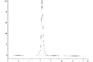 Size-exclusion chromatography-High Pressure Liquid Chromatography (SEC-HPLC) image for Matrix Metallopeptidase 9 (Gelatinase B, 92kDa Gelatinase, 92kDa Type IV Collagenase) (MMP9) (AA 20-707) protein (His-Avi Tag,Biotin) (ABIN7275271)