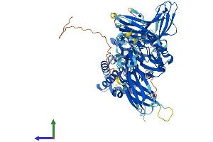 AlphaFold protein structure predicition of Mouse Recombinant Engase Protein, UniprotID Q8BX80