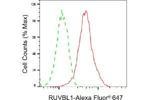 Flow cytometric analysis of RUVBL1 expression in HepG2 cells using RUVBL1 antibody (ABIN7800967), 1:2,000). (Rekombinanter RuvB Like AAA ATPase 1 Antikörper)