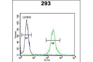 MR Antibody (N-term) 9980a flow cytometric analysis of 293 cells (right histogram) compared to a negative control cell (left histogram). (MRAP Antikörper  (N-Term))