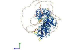 Protein Structure (PS) image for Myosin IIIB (MYO3B) (AA 1-1341) protein (His tag) (ABIN7554641)