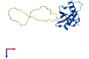 ATG12 Protein (AA 1-140) (His tag)