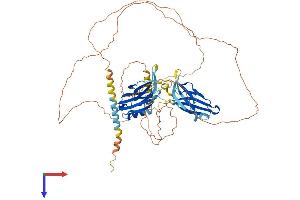 SYT16 Protein (AA 1-639) (His tag)