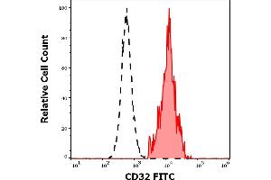 Separation of human CD32 positive lymphocytes (red-filled) from CD32 negative lymphocytes (black-dashed) in flow cytometry analysis (surface staining) of human peripheral whole blood stained using anti-human CD32 (3D3) FITC antibody (4 μL reagent / 100 μL of peripheral whole blood). (Fc gamma RII (CD32) Antikörper (FITC))