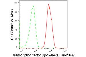 Flow cytometric analysis of transcription factor Dp-1 expression in C2C12 cells using transcription factor Dp-1 antibody (ABIN7800593), 1:2,000). (Rekombinanter DP1 Antikörper)