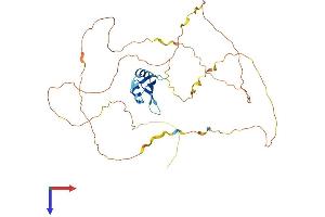 RBMX Protein (AA 1-391) (His tag)