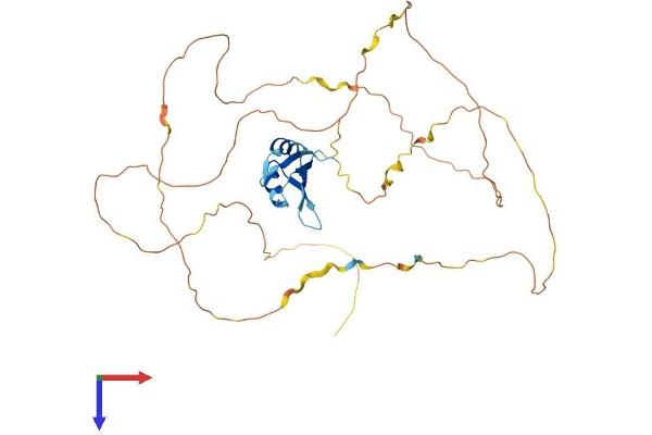 RBMX Protein (AA 1-391) (His tag)