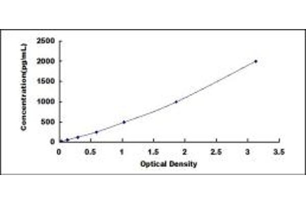 LECT1 ELISA Kit